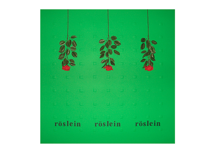 röslein • 130 x 130 cm • Acryl, Heftpflaster, Kunstrosen auf Leinwand